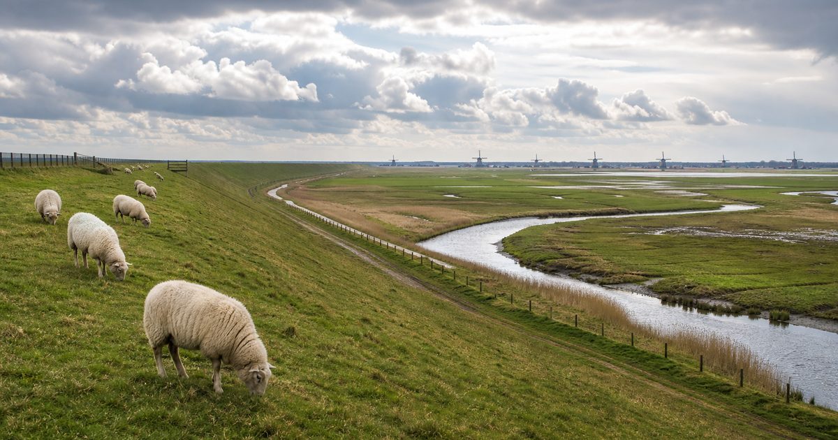 Zeeland nieuws door de jaren heen: welke onderwerpen keren steeds terug in de provincie?