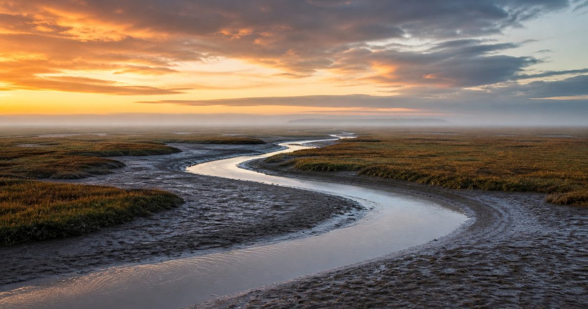 Bezoekerscentrum Saeftinghe: wat leer je hier over het Verdronken Land in Zeeuws-Vlaanderen?