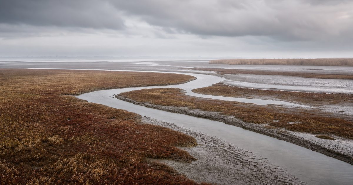 Het Verdronken Land van Saeftinghe: waar ligt het en waarom blijft dit gebied zo bijzonder?
