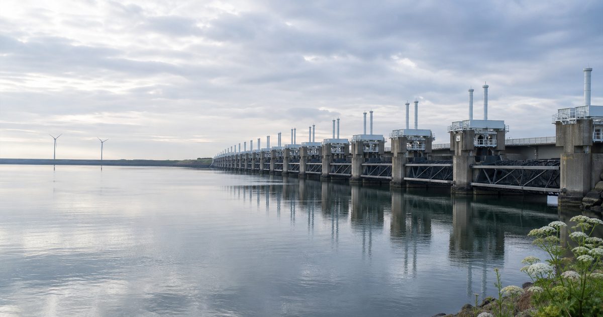 De rol van de Oosterschelde bij duiken in Zeeland: waarom komen zoveel sportduikers hierheen?