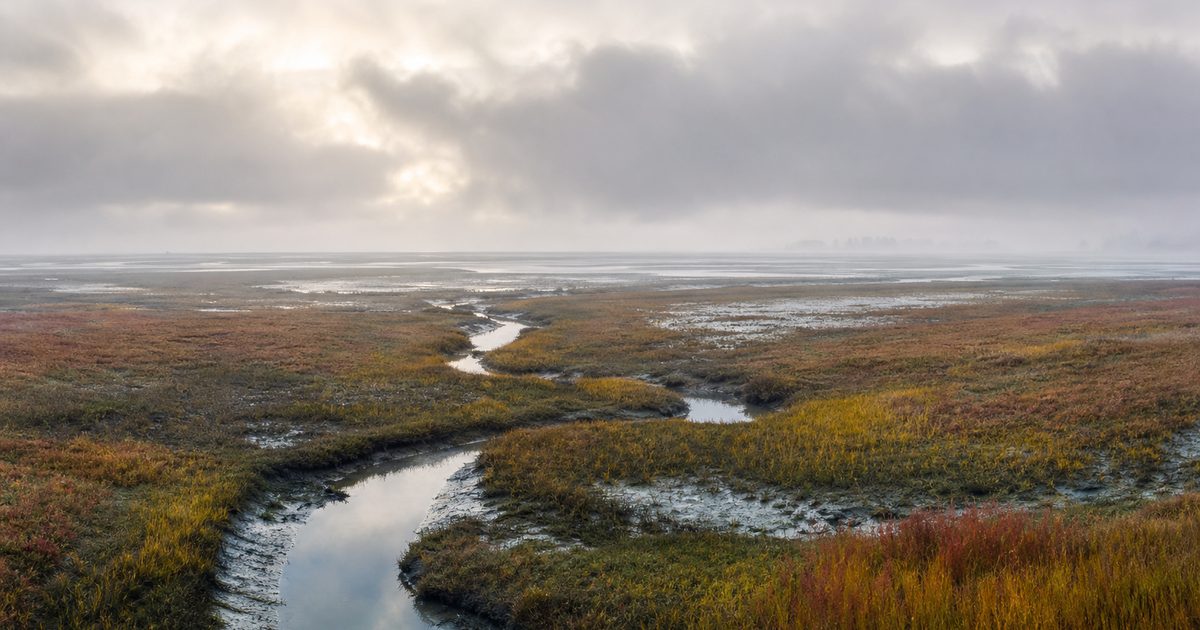 Het Verdronken Land van Zuid-Beveland: hoe verdween dit stuk Zeeland in zee?