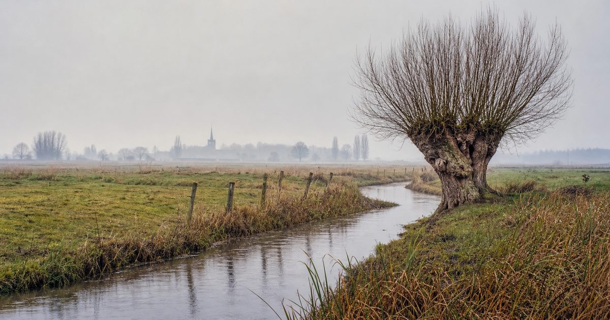 Abbekinderen: de geschiedenis van een klein dorp op Zuid-Beveland
