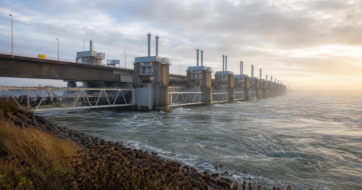 Deltapark Neeltje Jans: wat is er te zien op het werkeiland van de Oosterscheldekering?