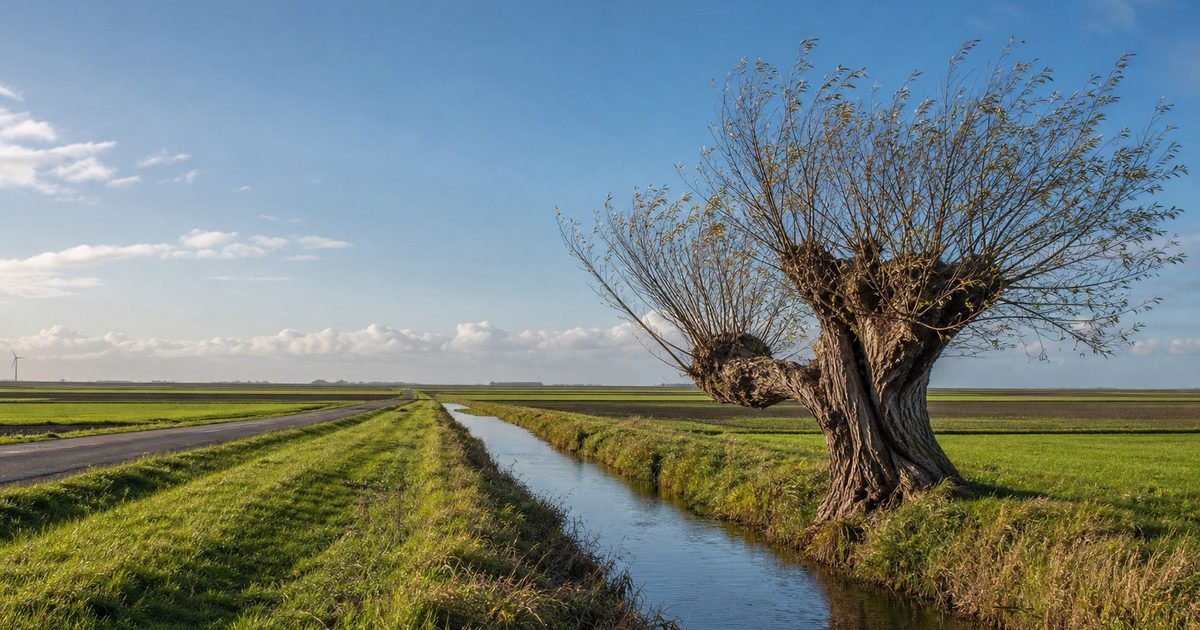 De inpoldering van Noord-Beveland: hoe kreeg dit eiland zijn vorm?